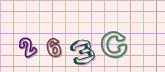 Captcha picture