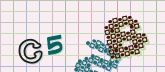 Captcha picture